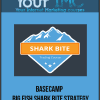 Basecamp - Big Fish Shark Bite Strategy-imc