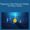 Beginners Chart Patterns Trading for Penny Stocks