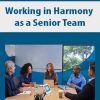 Working in Harmony as a Senior Team