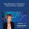 Carolyn Boroden – Introduction to Fibonacci Time & Price Analysis