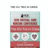 The ICU Trio in Crisis – Cyndi Zarbano