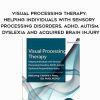 Visual Processing Therapy: Helping Individuals with Sensory Processing Disorders, ADHD, Autism, Dyslexia and Acquired Brain Injury – Leonard Press