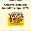 JOSEPH C. ZINKER – CREATIVE PROCESS IN GESTALT THERAPY (1978)