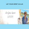 Suzanne Glesemann – Let Your Spirit S.O.A.R.
