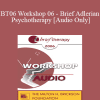 [Audio] BT06 Workshop 06 - Brief Adlerian Psychotherapy - Jon Carlson
