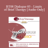 [Audio] BT08 Dialogue 03 - Limits of Brief Therapy - Jeffrey Kottler