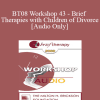 [Audio] BT08 Workshop 43 - Brief Therapies with Children of Divorce: Before