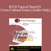 [Audio] BT10 Topical Panel 01 - Cross-Cultural Issues - Robert Dilts