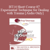 [Audio] BT14 Short Course 07 - Experiential Technique for Dealing with Trauma: Re-Visiting the Empty Chair - Linda Duncan