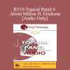 [Audio] BT16 Topical Panel 6 - About Milton H. Erickson - Stephen Gilligan
