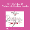 [Audio] CC19 Workshop 13 - Working with Escalated Couples: Coming Home from Hell with EFT - Sue Johnson