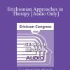 [Audio] IC80 General Session 15 - Ericksonian Approaches in Therapy - Charles R Stern