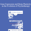 [Audio] EP09 Workshop 07 - Gene Expression and Brain Plasticity in the Evolution of Psychotherapy - Ernest Rossi