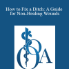 Laura Jane Holsey - How to Fix a Ditch: A Guide for Non-Healing Wounds