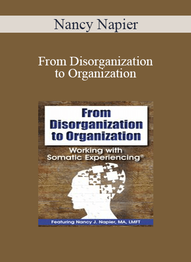 Nancy Napier - From Disorganization to Organization: Working with Somatic Experiencing®