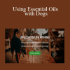 Barb Fox DVM - Using Essential Oils with Dogs