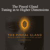 Dr. Joe Dispenza - The Pineal Gland - Tuning in to Higher Dimensions
