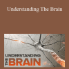 TTC - Jeanette Norden - Understanding The Brain